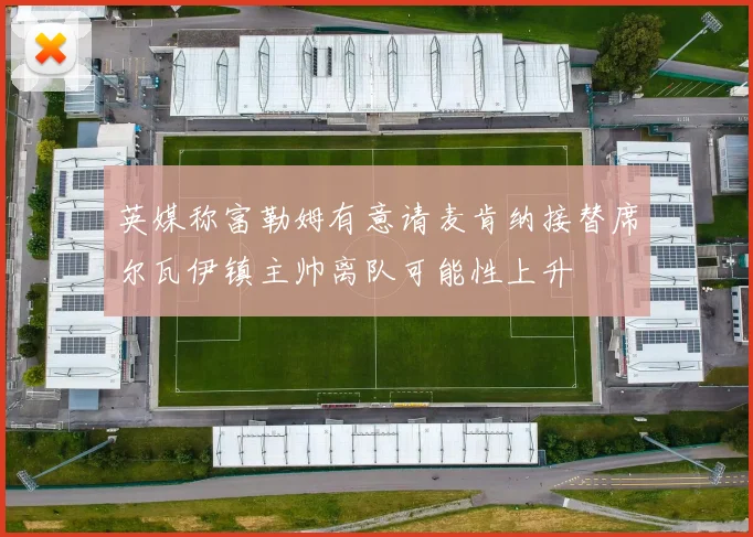 英媒称富勒姆有意请麦肯纳接替席尔瓦伊镇主帅离队可能性上升